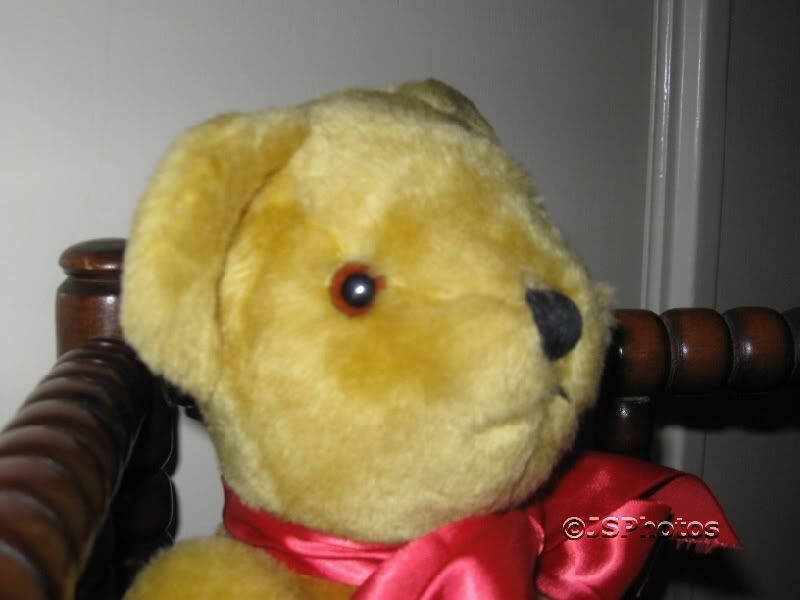 CANTERBURY BEAES テディベア 1985年　|1597|☆ イギリス ビンテージ テディベア ぬいぐるみ Canterbury Bears